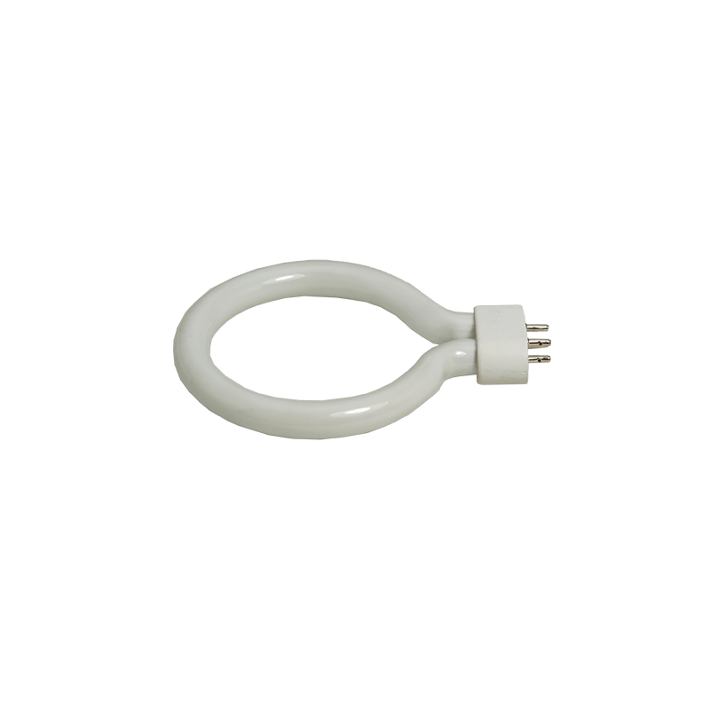 Bulb